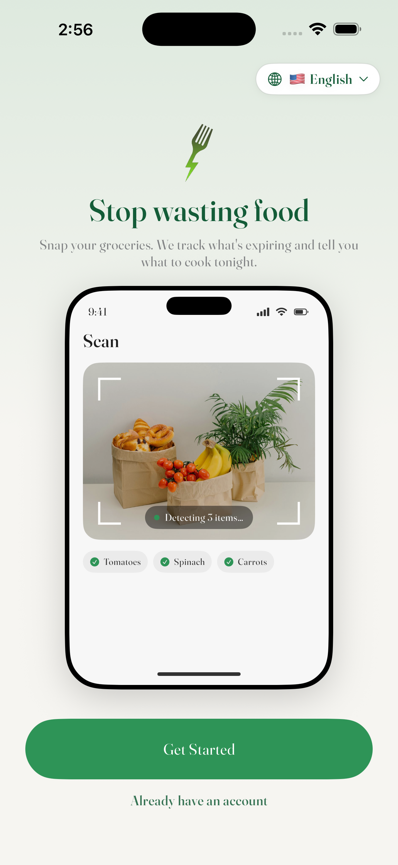 Scanning groceries